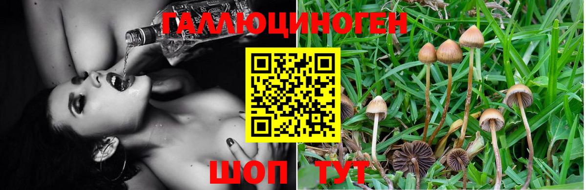 Галлюциногенные грибы Cubensis  Вход с VPN  Ишимбай 