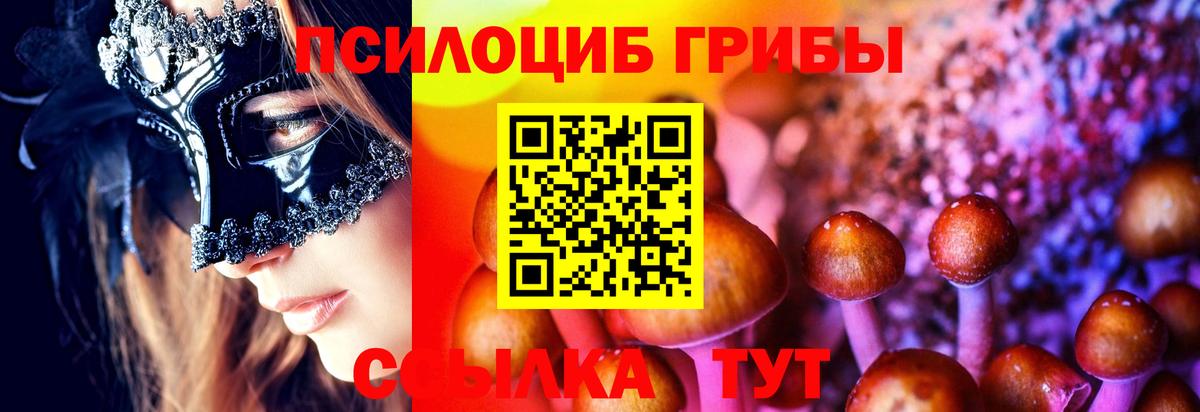 Галлюциногенные грибы Psilocybe Ишимбай